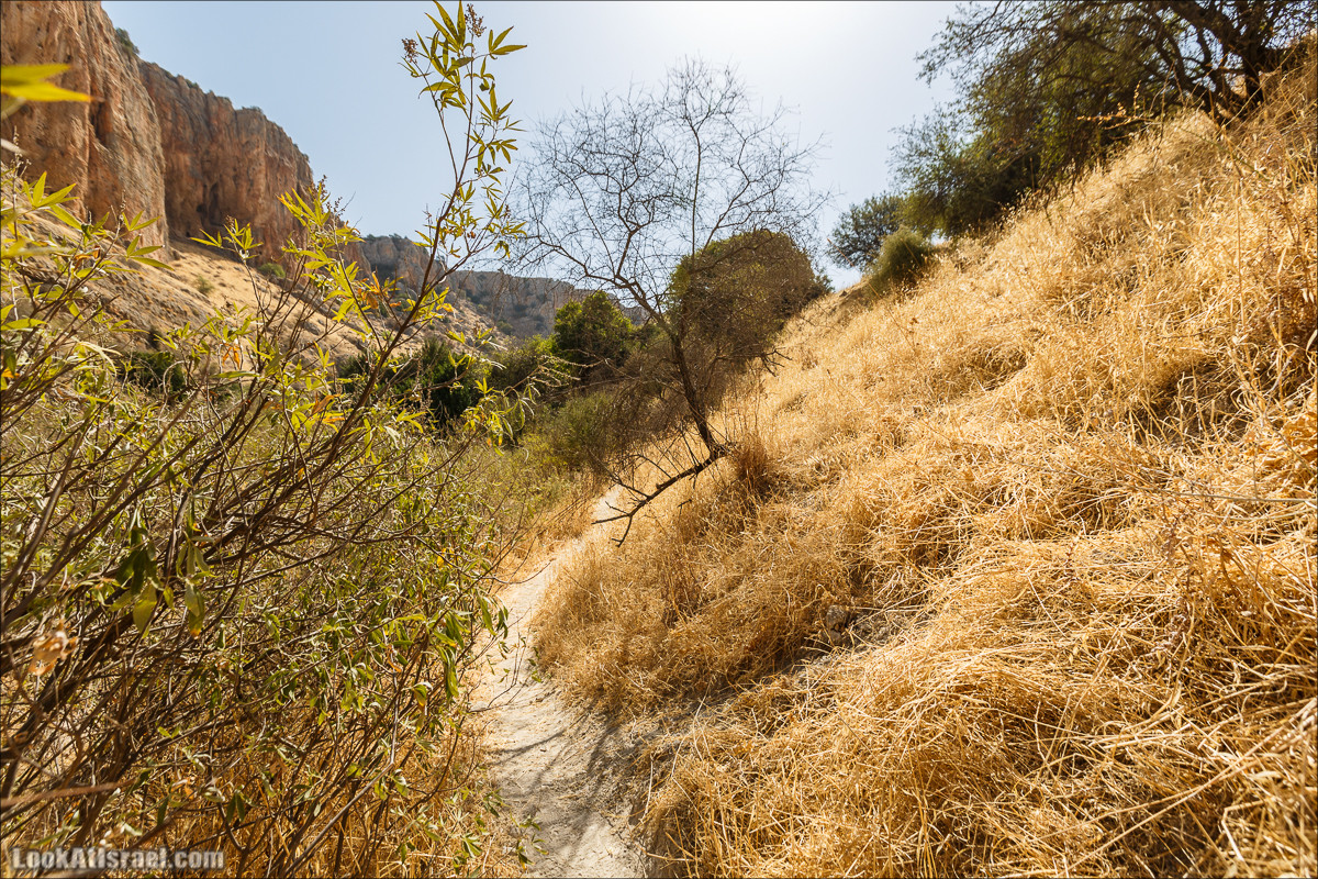 Нахаль Ахбара и нижний Амуд | LookAtIsrael.com - Фото путешествия по Израилю