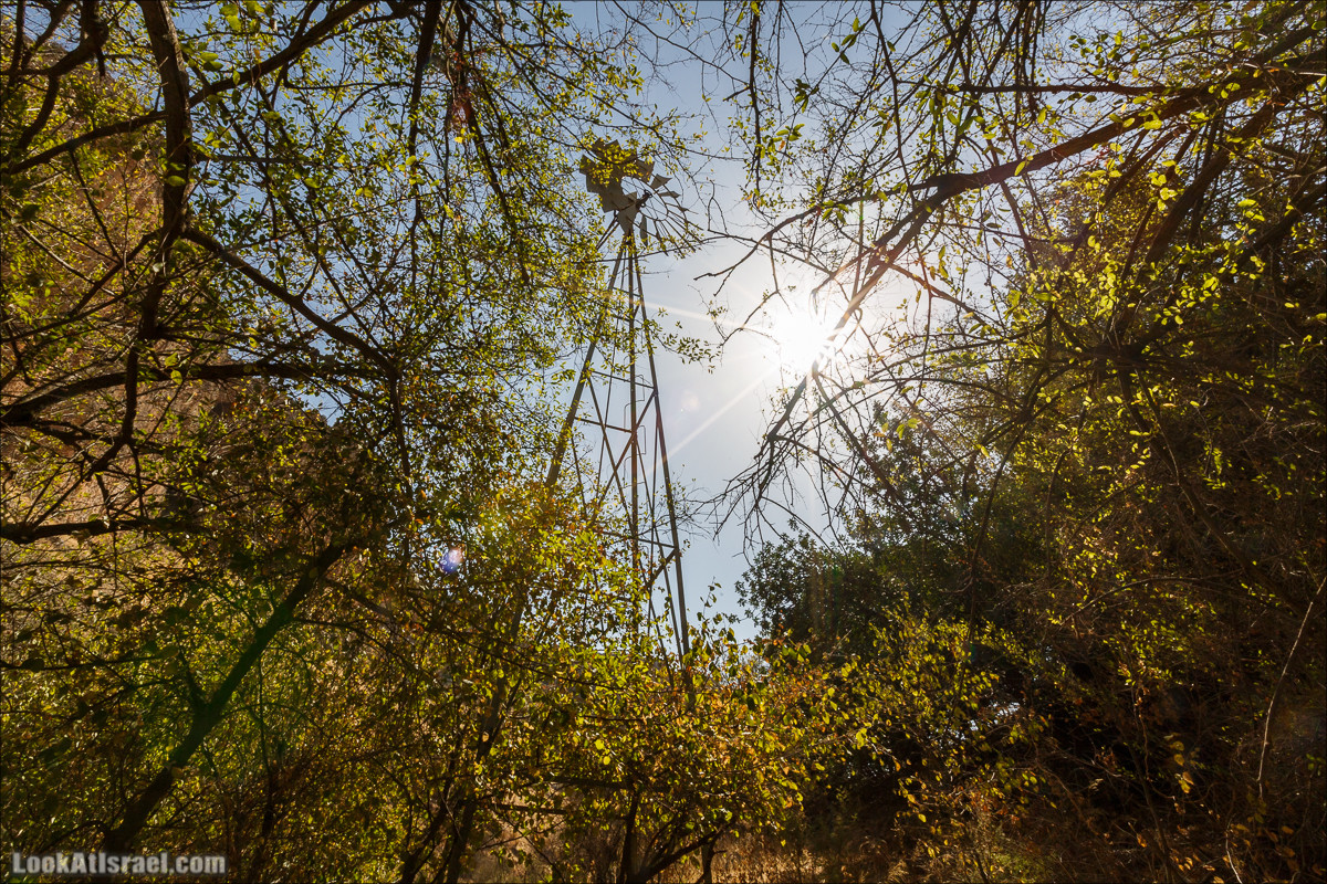 Нахаль Ахбара и нижний Амуд | LookAtIsrael.com - Фото путешествия по Израилю