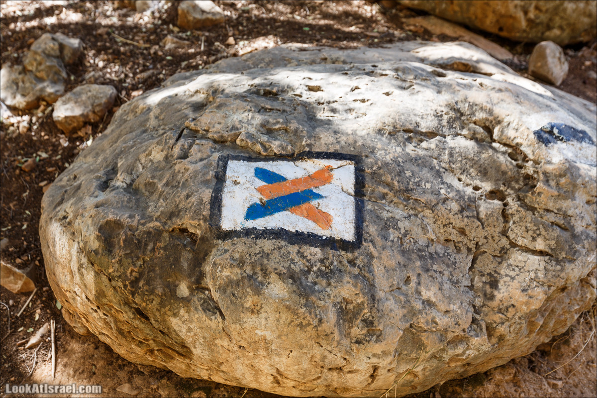 Нахаль Ахбара и нижний Амуд | LookAtIsrael.com - Фото путешествия по Израилю