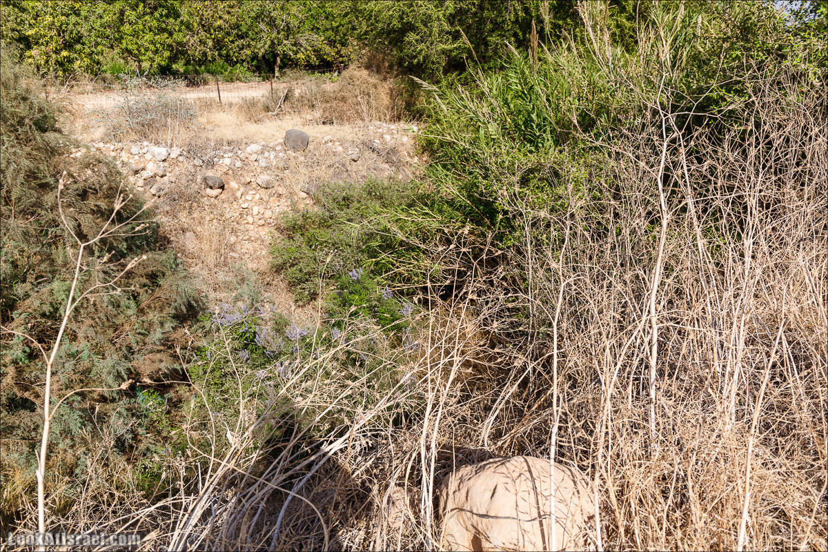 Нахаль Ахбара и нижний Амуд | LookAtIsrael.com - Фото путешествия по Израилю