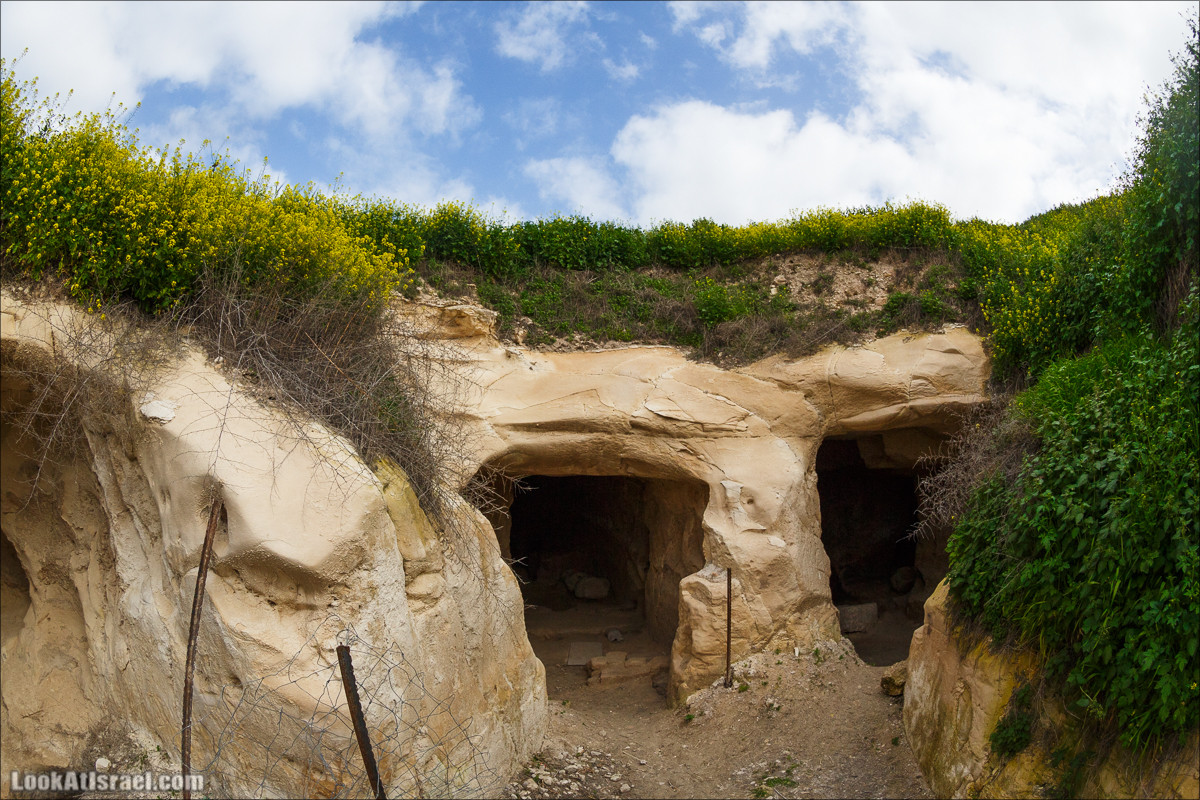 Бейт Лойа - пещеры и цветочные поля Негева и южной Шфелы | LookAtIsrael.com - Фото путешествия по Израилю
