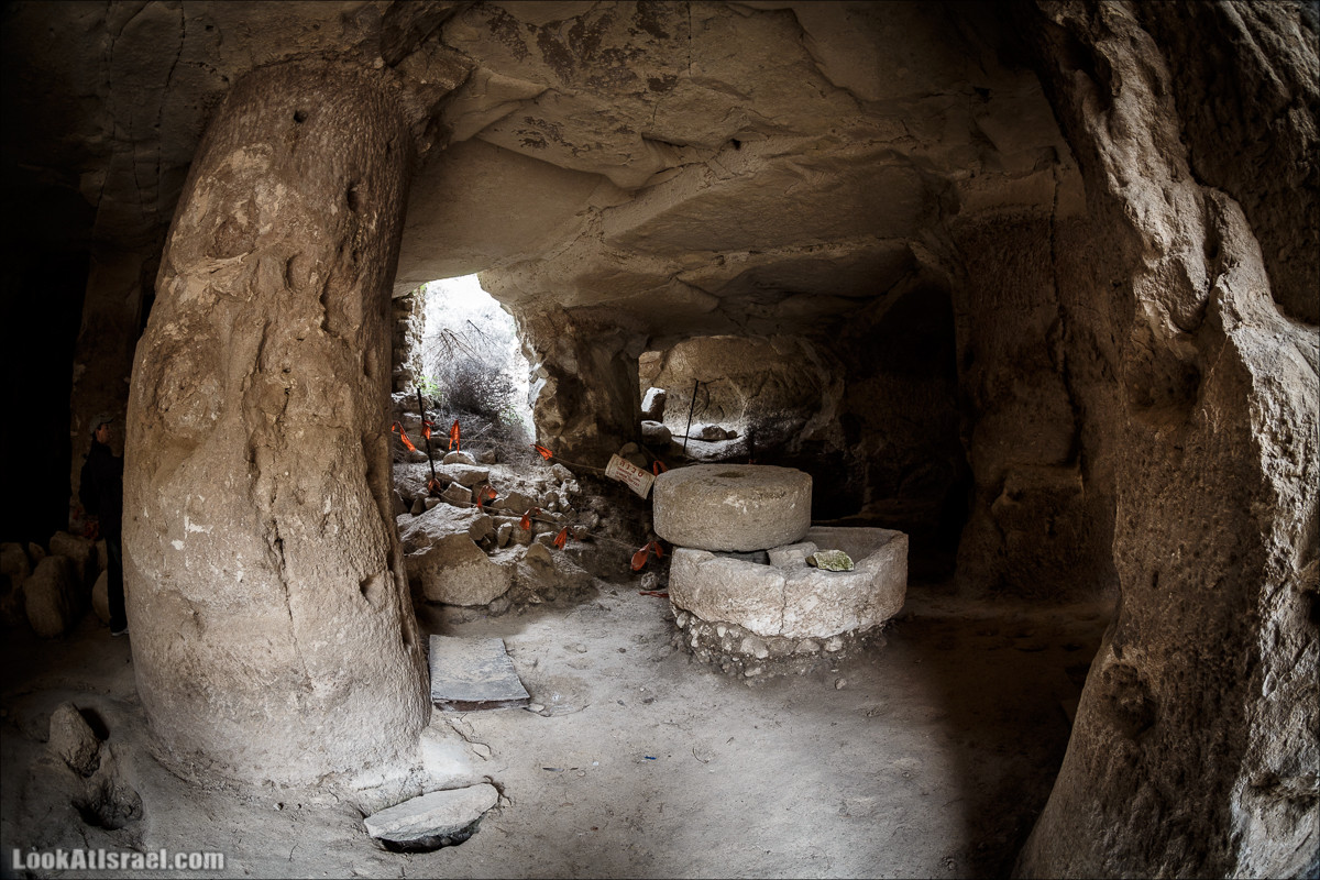 Бейт Лойа - пещеры и цветочные поля Негева и южной Шфелы | LookAtIsrael.com - Фото путешествия по Израилю