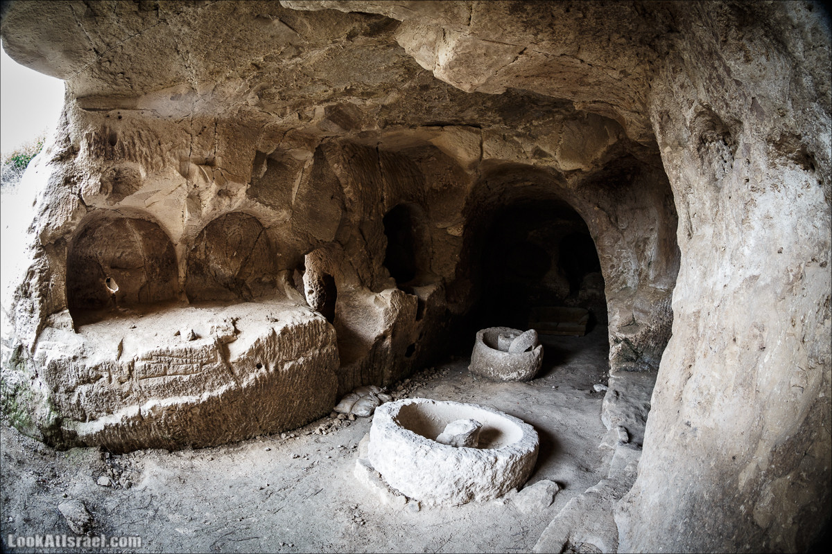 Бейт Лойа - пещеры и цветочные поля Негева и южной Шфелы | LookAtIsrael.com - Фото путешествия по Израилю