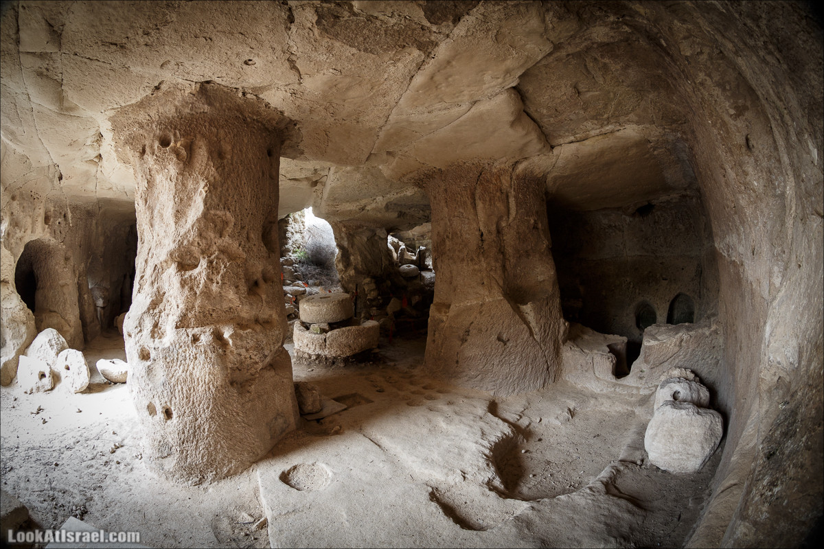 Бейт Лойа - пещеры и цветочные поля Негева и южной Шфелы | LookAtIsrael.com - Фото путешествия по Израилю