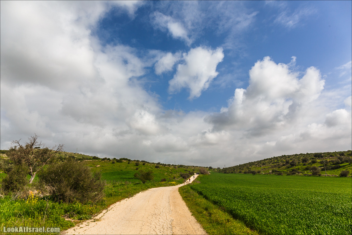 Бейт Лойа - пещеры и цветочные поля Негева и южной Шфелы | LookAtIsrael.com - Фото путешествия по Израилю
