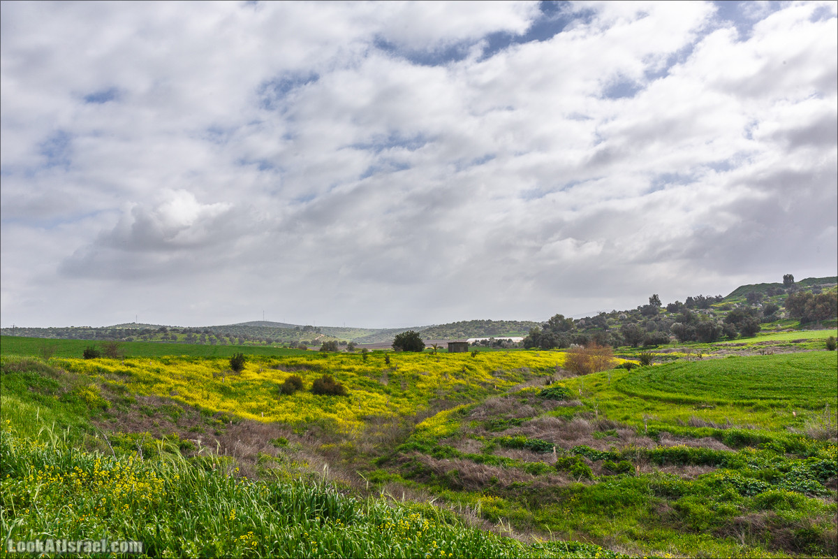 Бейт Лойа - пещеры и цветочные поля Негева и южной Шфелы | LookAtIsrael.com - Фото путешествия по Израилю