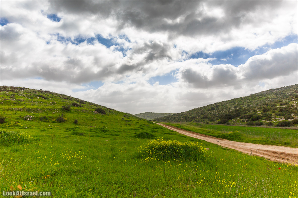 Бейт Лойа - пещеры и цветочные поля Негева и южной Шфелы | LookAtIsrael.com - Фото путешествия по Израилю