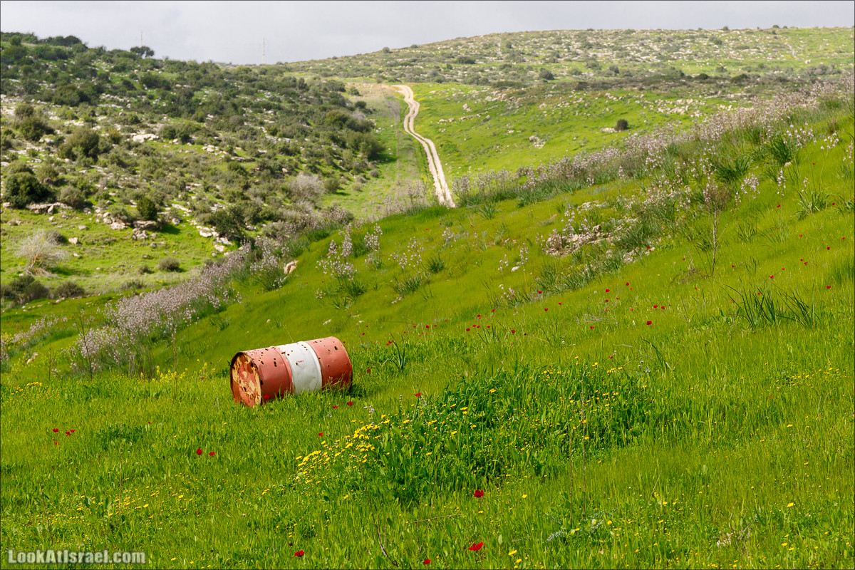 Бейт Лойа - пещеры и цветочные поля Негева и южной Шфелы | LookAtIsrael.com - Фото путешествия по Израилю