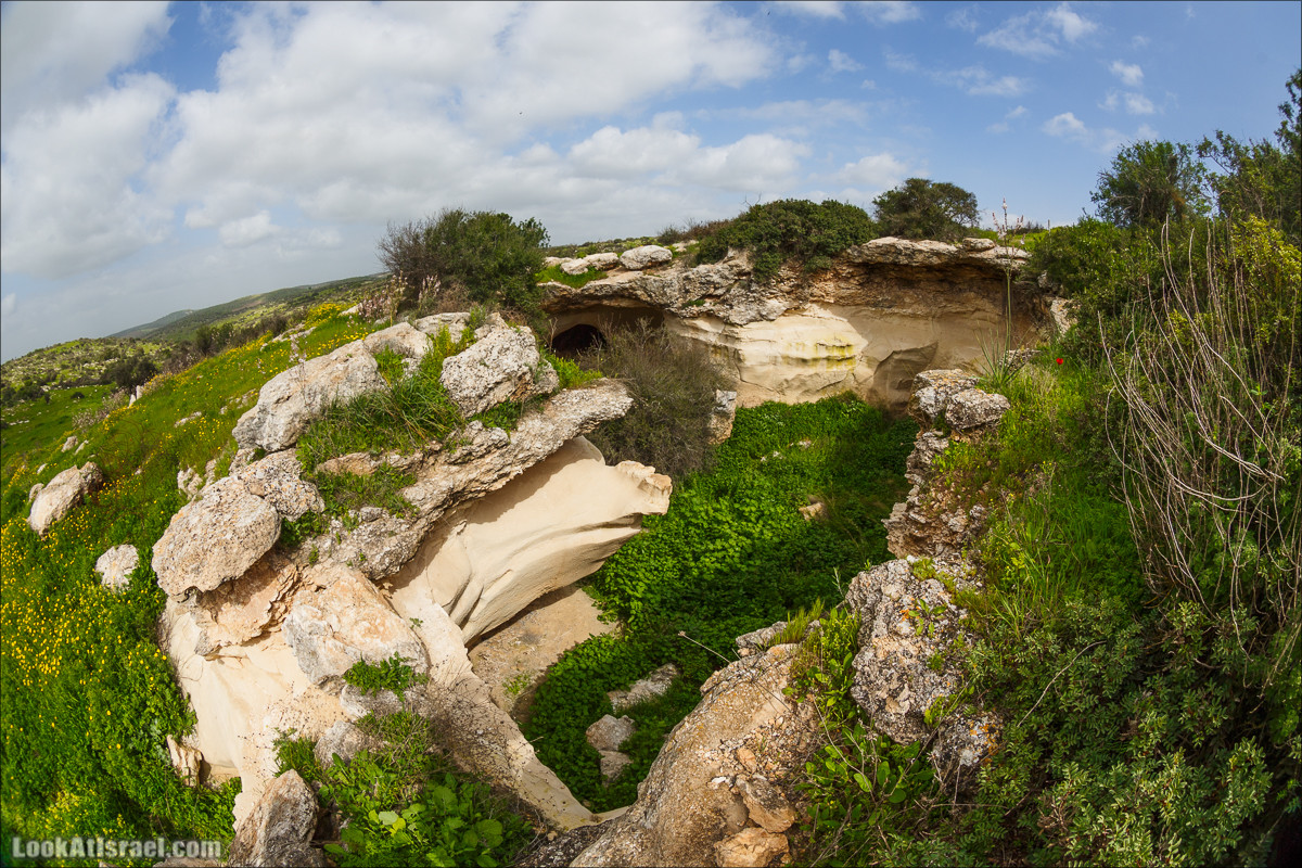 Бейт Лойа - пещеры и цветочные поля Негева и южной Шфелы | LookAtIsrael.com - Фото путешествия по Израилю