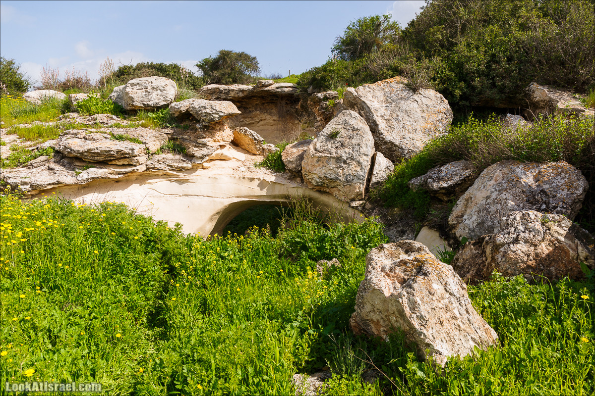 Бейт Лойа - пещеры и цветочные поля Негева и южной Шфелы | LookAtIsrael.com - Фото путешествия по Израилю