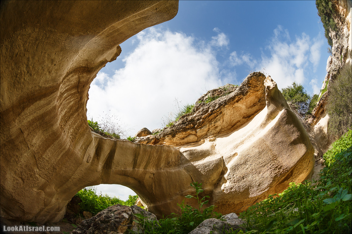 Бейт Лойа - пещеры и цветочные поля Негева и южной Шфелы | LookAtIsrael.com - Фото путешествия по Израилю
