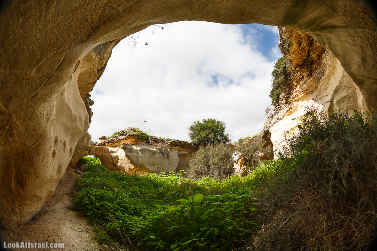 Бейт Лойа - пещеры и цветочные поля Негева и южной Шфелы | LookAtIsrael.com - Фото путешествия по Израилю