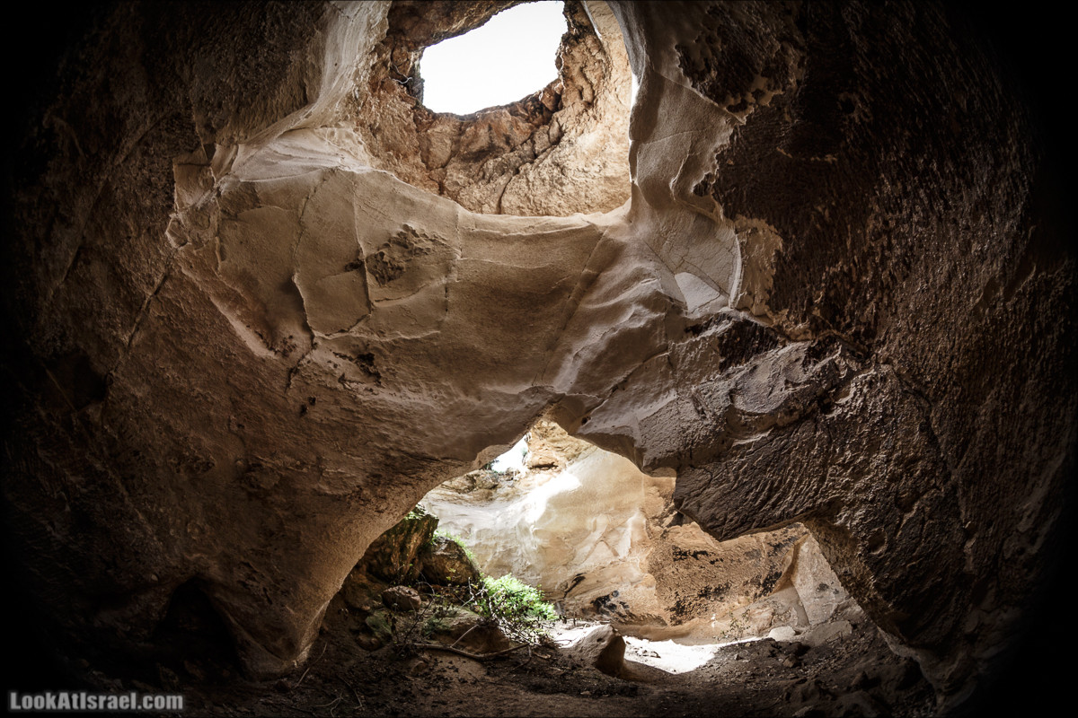 Бейт Лойа - пещеры и цветочные поля Негева и южной Шфелы | LookAtIsrael.com - Фото путешествия по Израилю