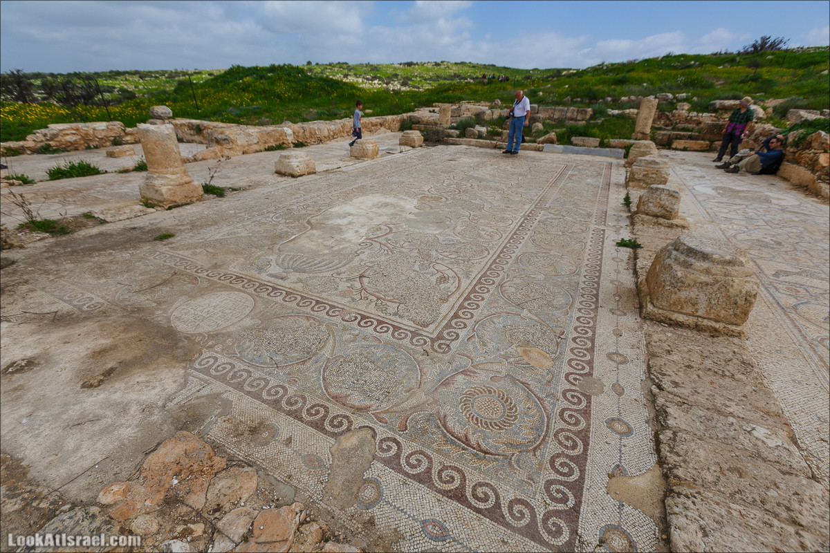 Бейт Лойа - пещеры и цветочные поля Негева и южной Шфелы | LookAtIsrael.com - Фото путешествия по Израилю