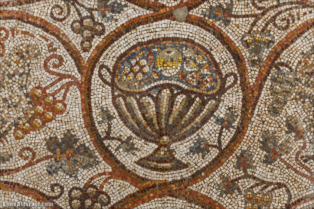 Бейт Лойа - пещеры и цветочные поля Негева и южной Шфелы | LookAtIsrael.com - Фото путешествия по Израилю