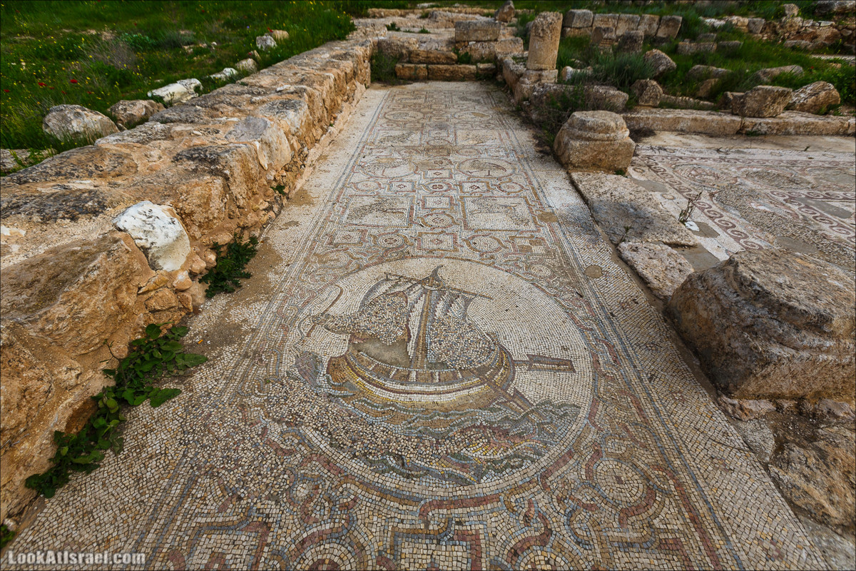 Бейт Лойа - пещеры и цветочные поля Негева и южной Шфелы | LookAtIsrael.com - Фото путешествия по Израилю