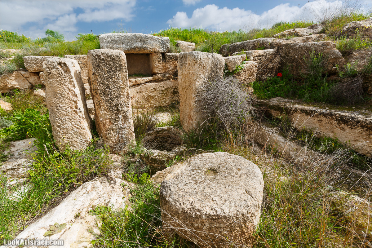 Бейт Лойа - пещеры и цветочные поля Негева и южной Шфелы | LookAtIsrael.com - Фото путешествия по Израилю