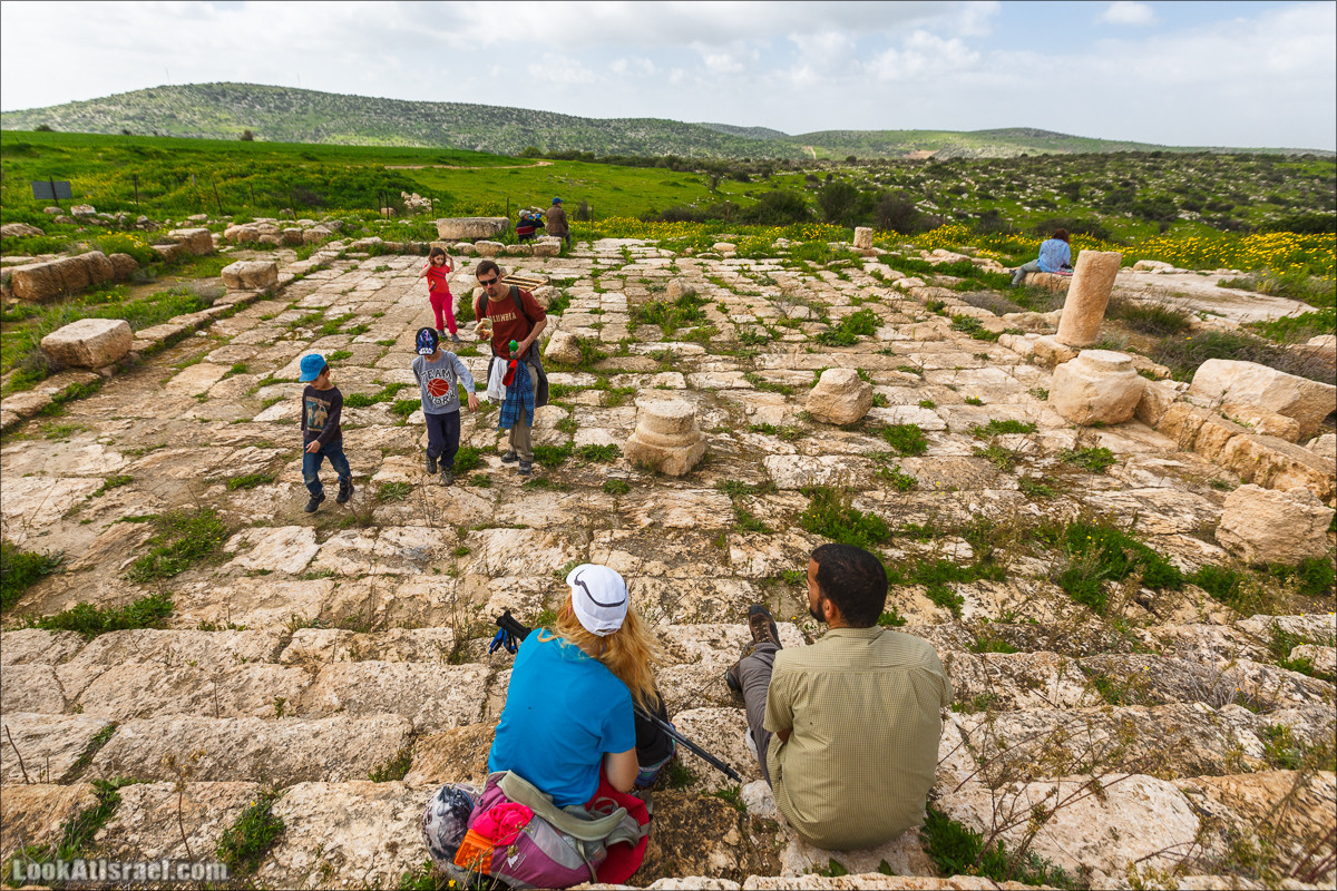Бейт Лойа - пещеры и цветочные поля Негева и южной Шфелы | LookAtIsrael.com - Фото путешествия по Израилю