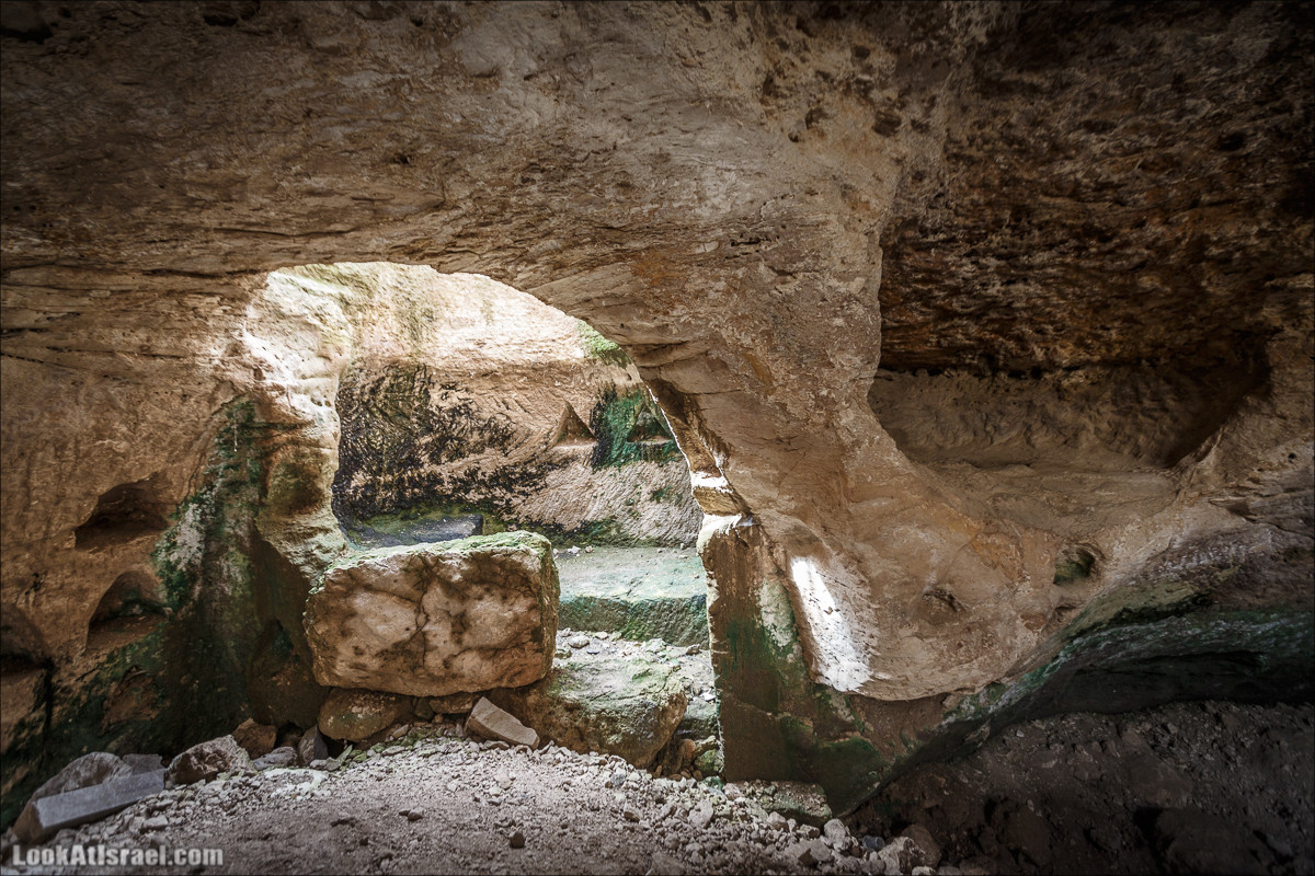 Бейт Лойа - пещеры и цветочные поля Негева и южной Шфелы | LookAtIsrael.com - Фото путешествия по Израилю