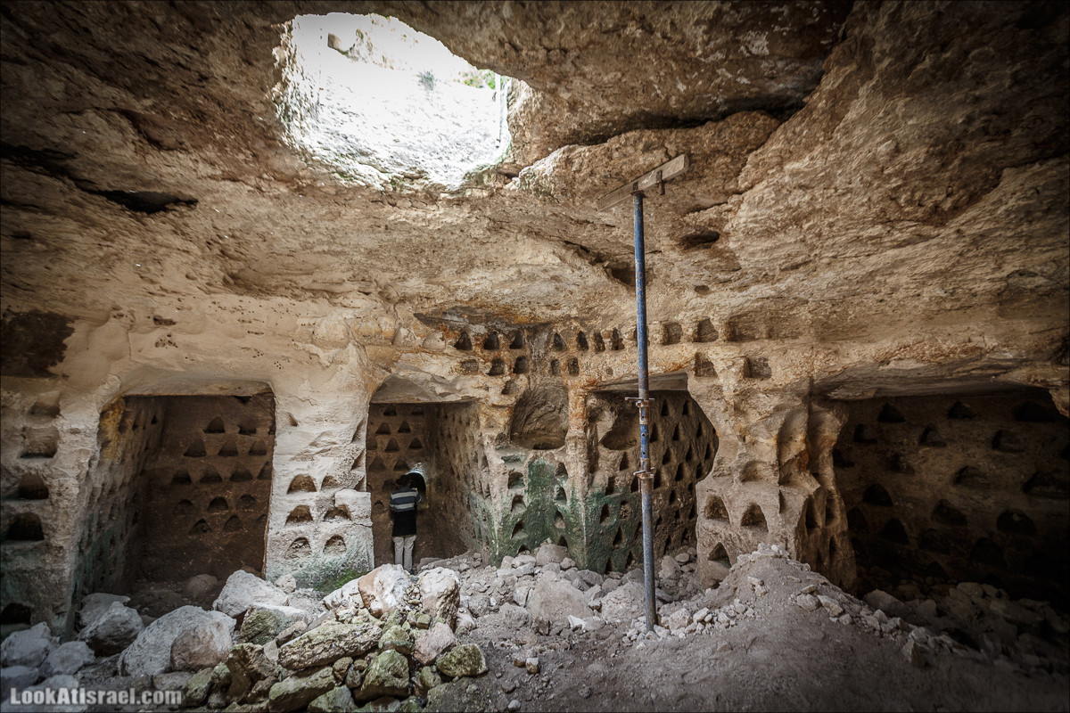 Бейт Лойа - пещеры и цветочные поля Негева и южной Шфелы | LookAtIsrael.com - Фото путешествия по Израилю