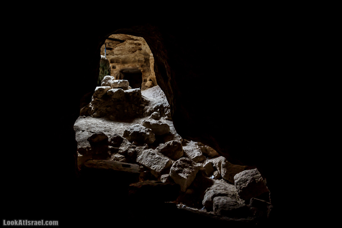 Бейт Лойа - пещеры и цветочные поля Негева и южной Шфелы | LookAtIsrael.com - Фото путешествия по Израилю