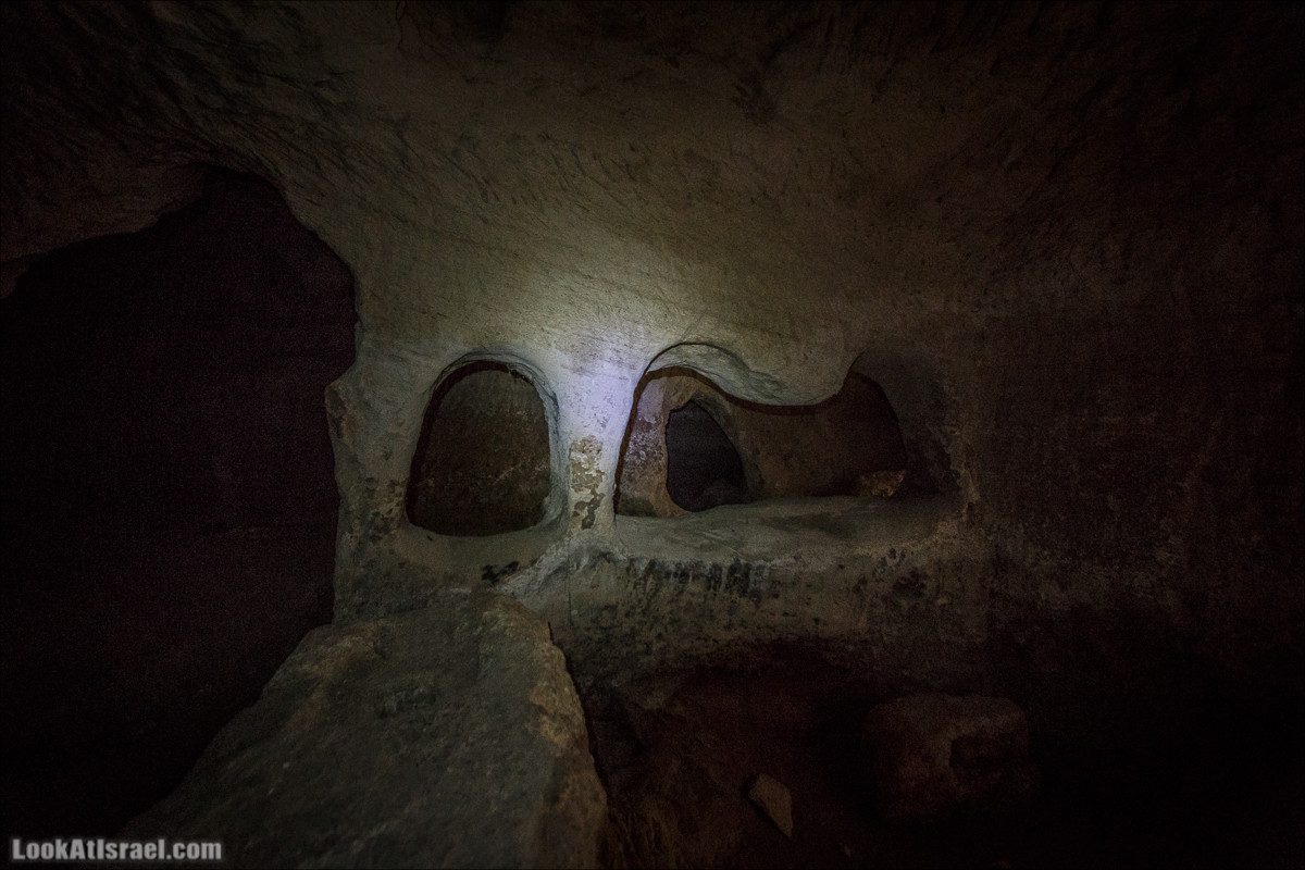 Бейт Лойа - пещеры и цветочные поля Негева и южной Шфелы | LookAtIsrael.com - Фото путешествия по Израилю