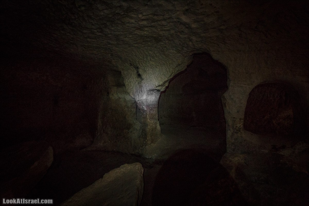 Бейт Лойа - пещеры и цветочные поля Негева и южной Шфелы | LookAtIsrael.com - Фото путешествия по Израилю