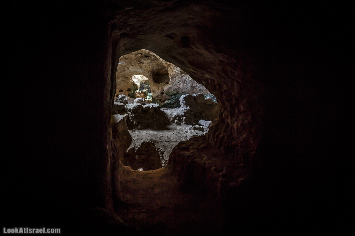 Бейт Лойа - пещеры и цветочные поля Негева и южной Шфелы | LookAtIsrael.com - Фото путешествия по Израилю