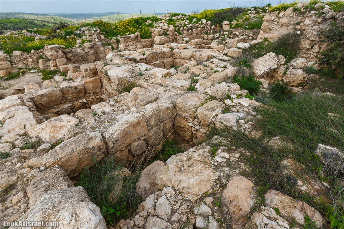 Бейт Лойа - пещеры и цветочные поля Негева и южной Шфелы | LookAtIsrael.com - Фото путешествия по Израилю