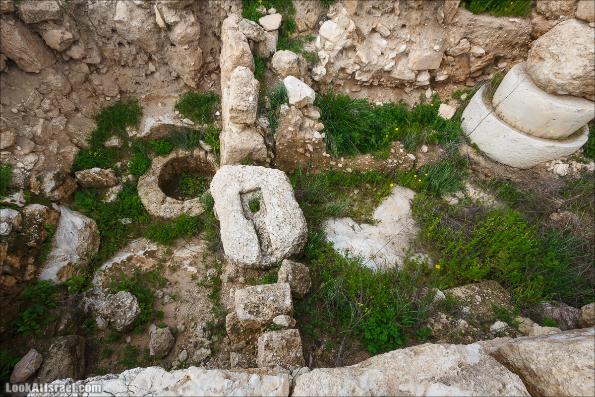 Бейт Лойа - пещеры и цветочные поля Негева и южной Шфелы | LookAtIsrael.com - Фото путешествия по Израилю