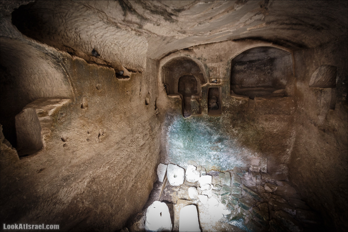 Бейт Лойа - пещеры и цветочные поля Негева и южной Шфелы | LookAtIsrael.com - Фото путешествия по Израилю