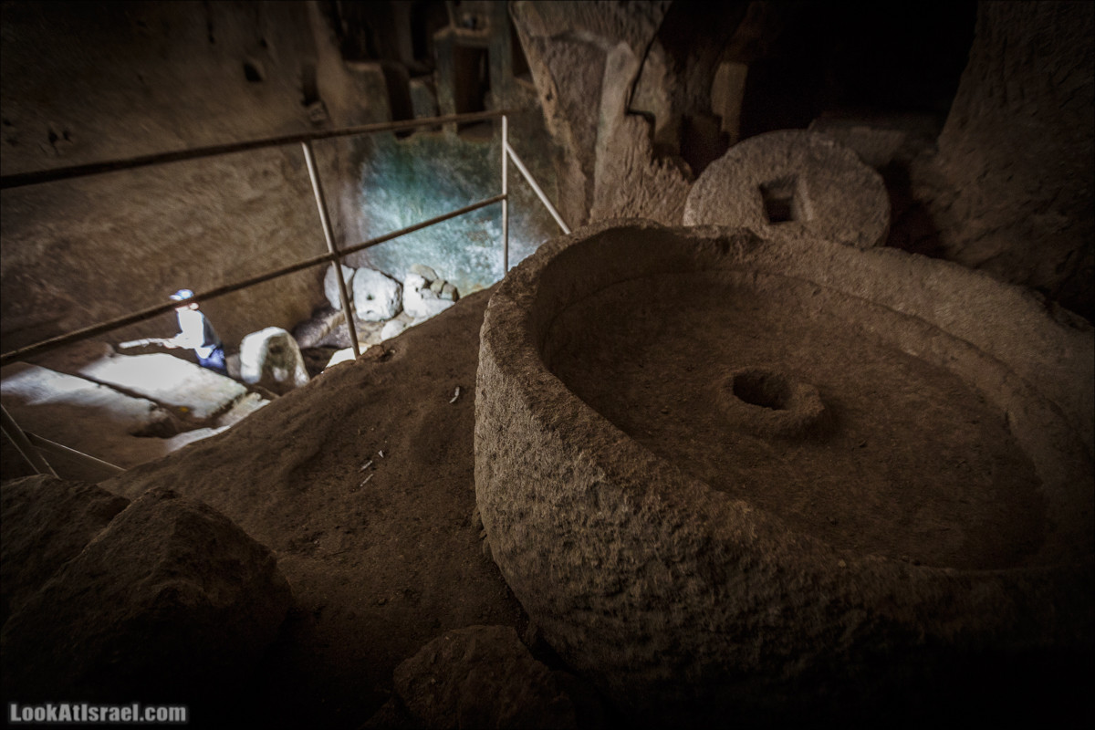 Бейт Лойа - пещеры и цветочные поля Негева и южной Шфелы | LookAtIsrael.com - Фото путешествия по Израилю