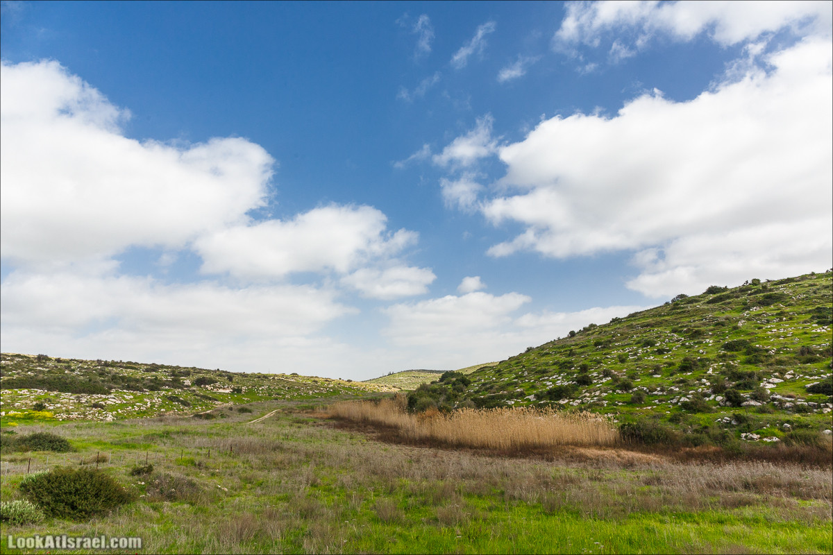 Бейт Лойа - пещеры и цветочные поля Негева и южной Шфелы | LookAtIsrael.com - Фото путешествия по Израилю