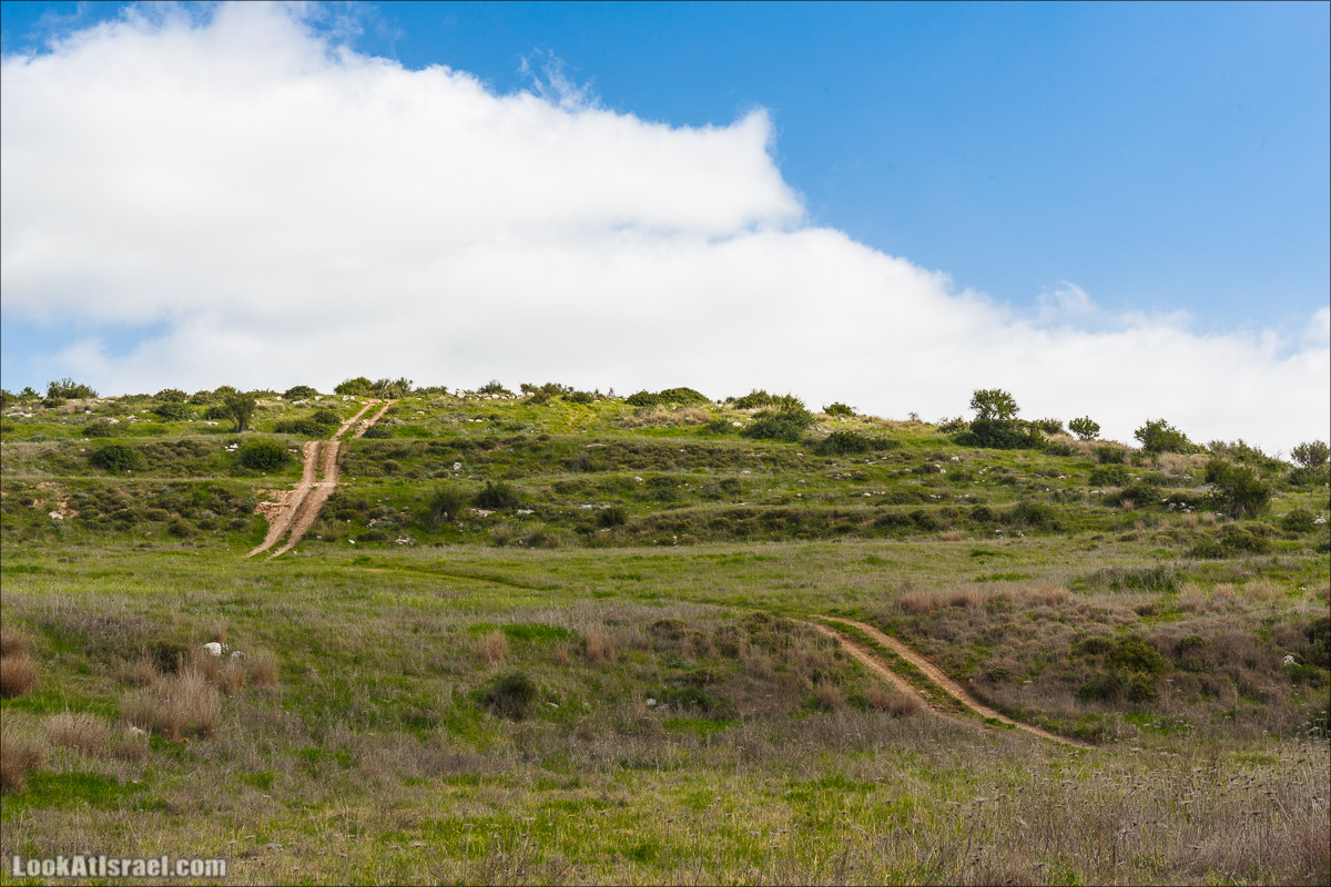 Бейт Лойа - пещеры и цветочные поля Негева и южной Шфелы | LookAtIsrael.com - Фото путешествия по Израилю