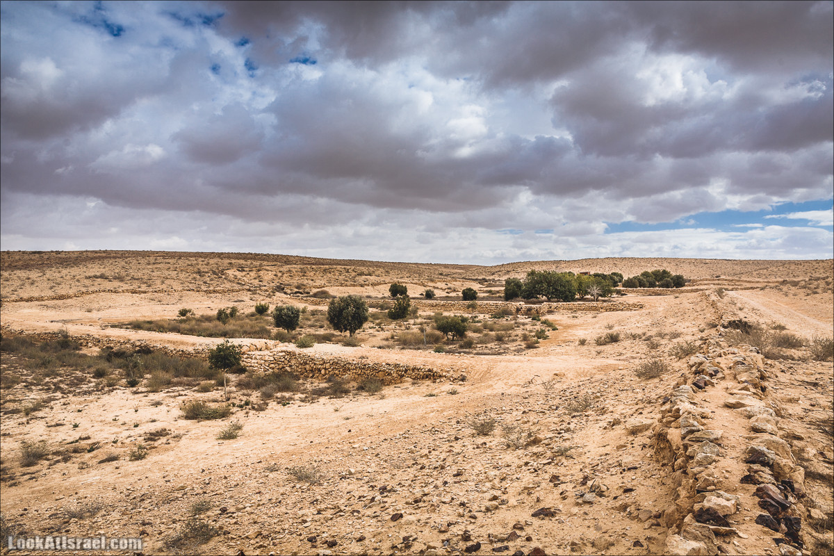 Интересные места в Ниццане | LookAtIsrael.com - Фото путешествия по Израилю