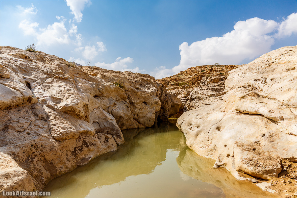 Путешествие 4x4 по мало посещаемым местам пустыни Негев | LookAtIsrael.com - Фото путешествия по Израилю