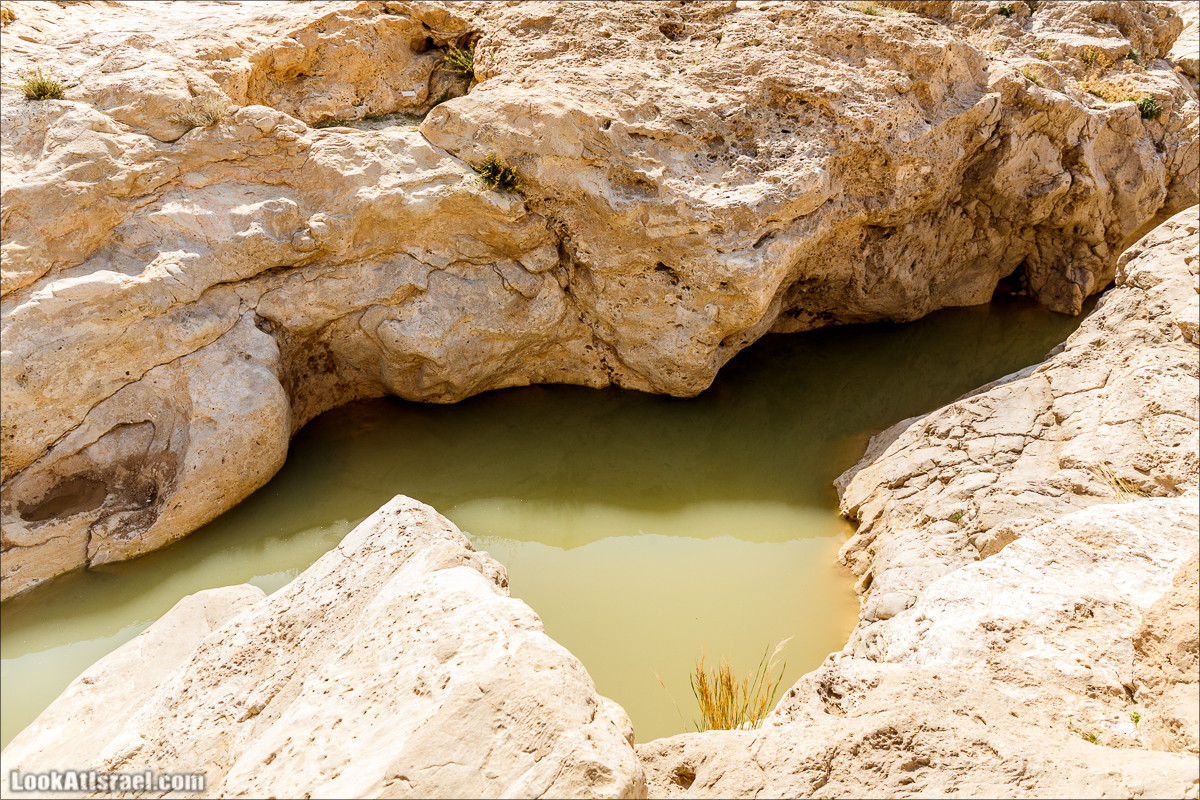 Путешествие 4x4 по мало посещаемым местам пустыни Негев | LookAtIsrael.com - Фото путешествия по Израилю