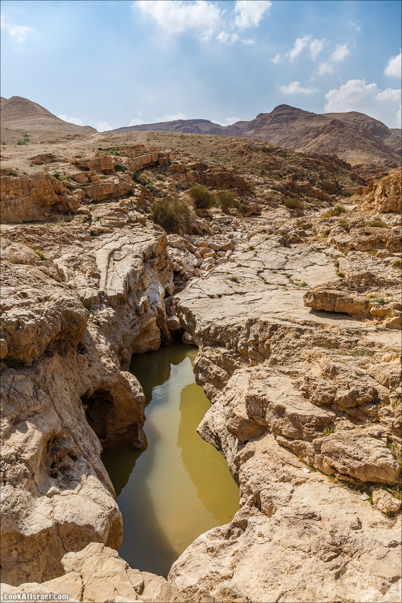 Путешествие 4x4 по мало посещаемым местам пустыни Негев | LookAtIsrael.com - Фото путешествия по Израилю