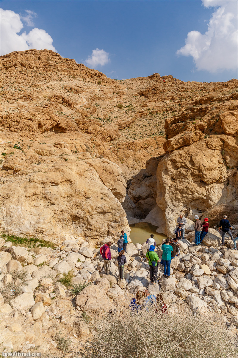 Путешествие 4x4 по мало посещаемым местам пустыни Негев | LookAtIsrael.com - Фото путешествия по Израилю