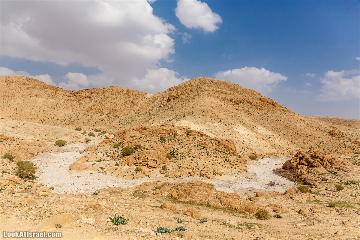 Путешествие 4x4 по мало посещаемым местам пустыни Негев | LookAtIsrael.com - Фото путешествия по Израилю