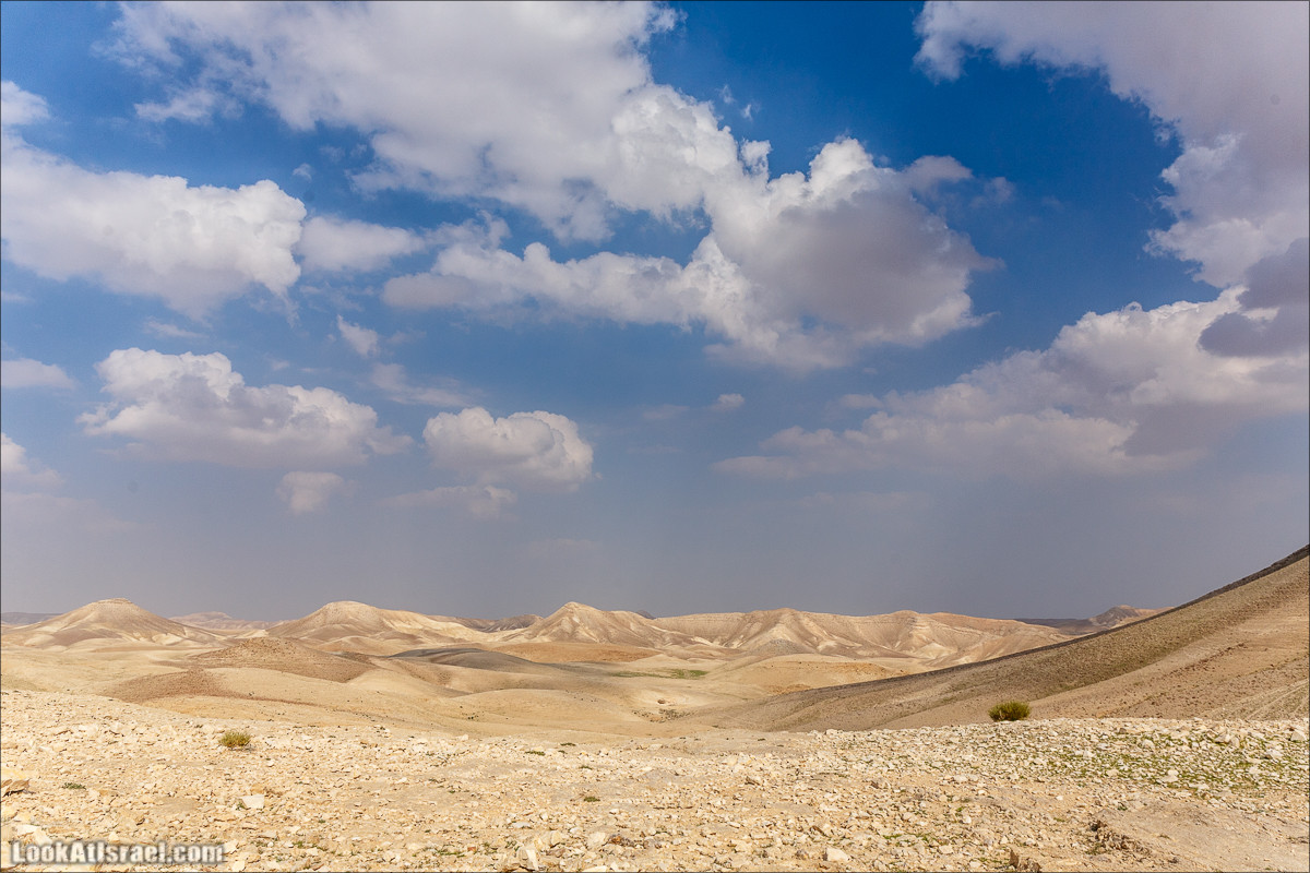 Путешествие 4x4 по мало посещаемым местам пустыни Негев | LookAtIsrael.com - Фото путешествия по Израилю