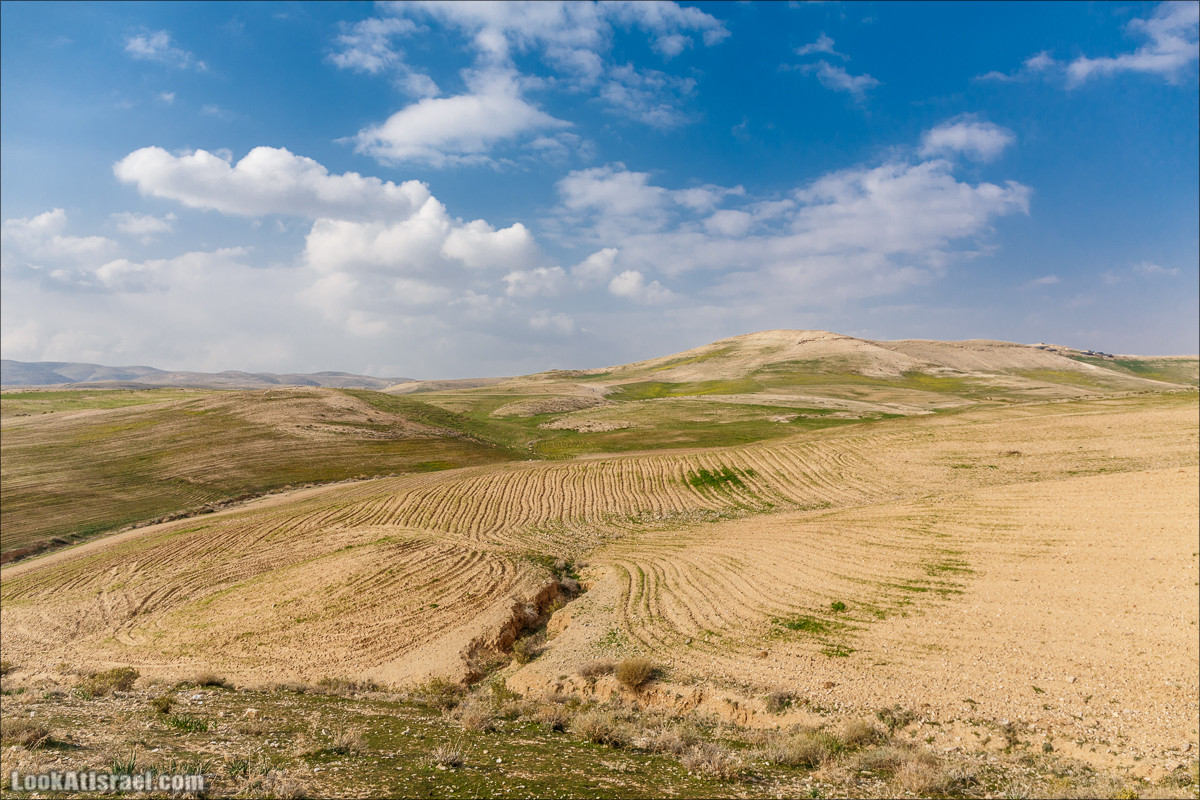 Путешествие 4x4 по мало посещаемым местам пустыни Негев | LookAtIsrael.com - Фото путешествия по Израилю