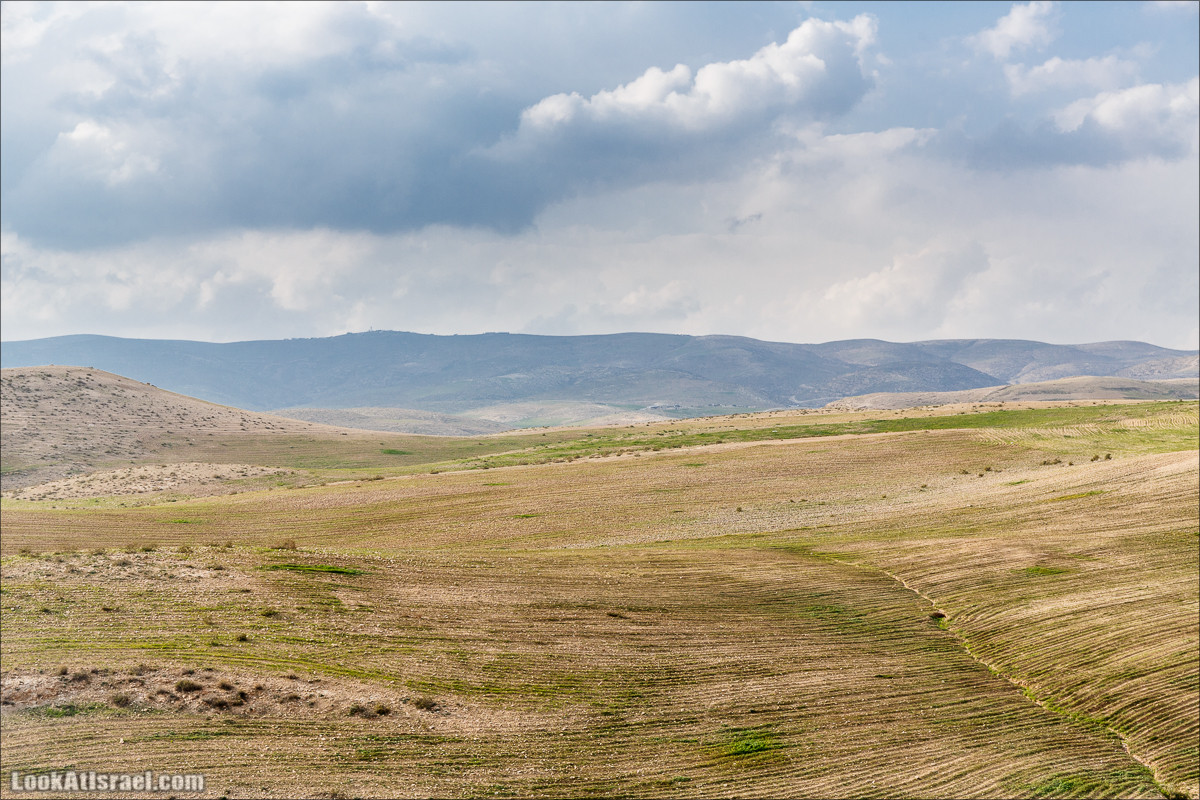Путешествие 4x4 по мало посещаемым местам пустыни Негев | LookAtIsrael.com - Фото путешествия по Израилю