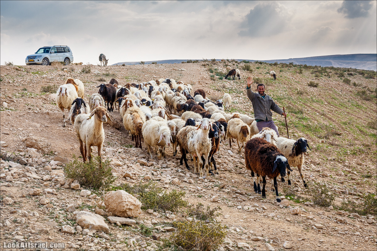 Путешествие 4x4 по мало посещаемым местам пустыни Негев | LookAtIsrael.com - Фото путешествия по Израилю