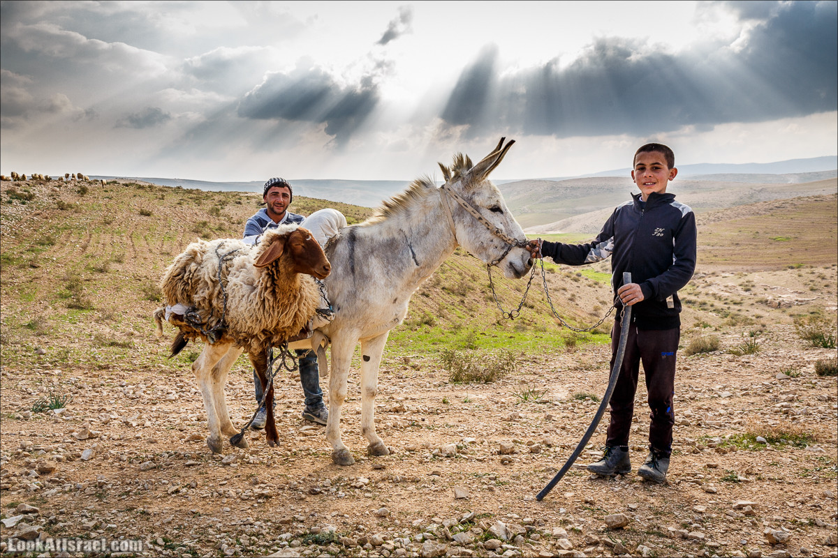 Путешествие 4x4 по мало посещаемым местам пустыни Негев | LookAtIsrael.com - Фото путешествия по Израилю