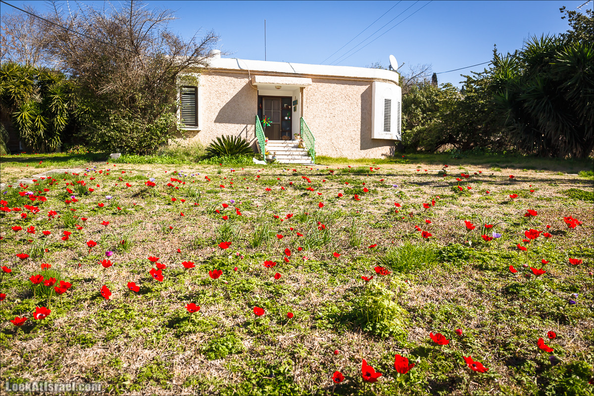 Гора Бетах и тропа Нормана | Betah mount and Norman's Trail | הר בטח ושביל נורמן | LookAtIsrael.com - Фото путешествия по Израилю