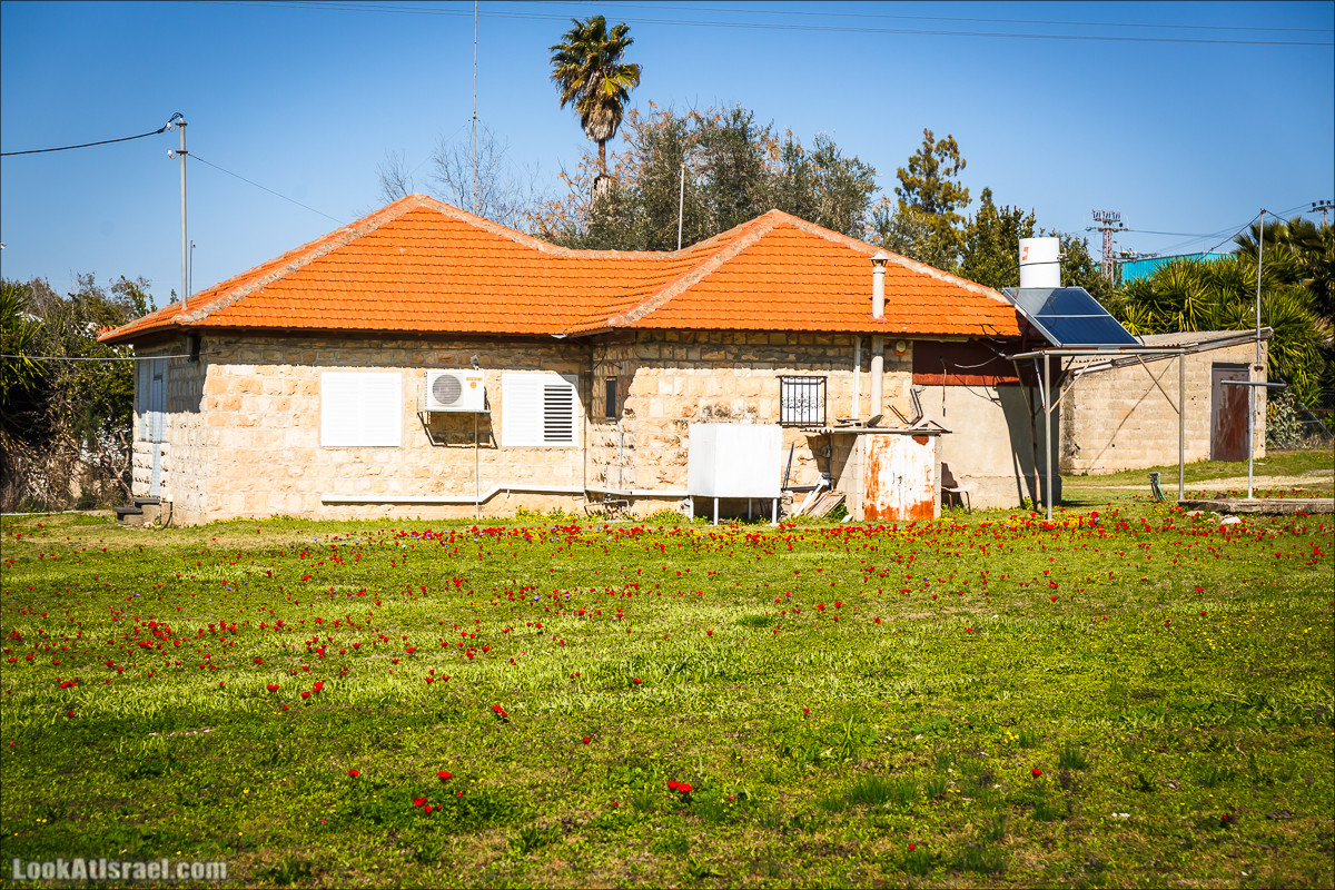 Гора Бетах и тропа Нормана | Betah mount and Norman's Trail | הר בטח ושביל נורמן | LookAtIsrael.com - Фото путешествия по Израилю