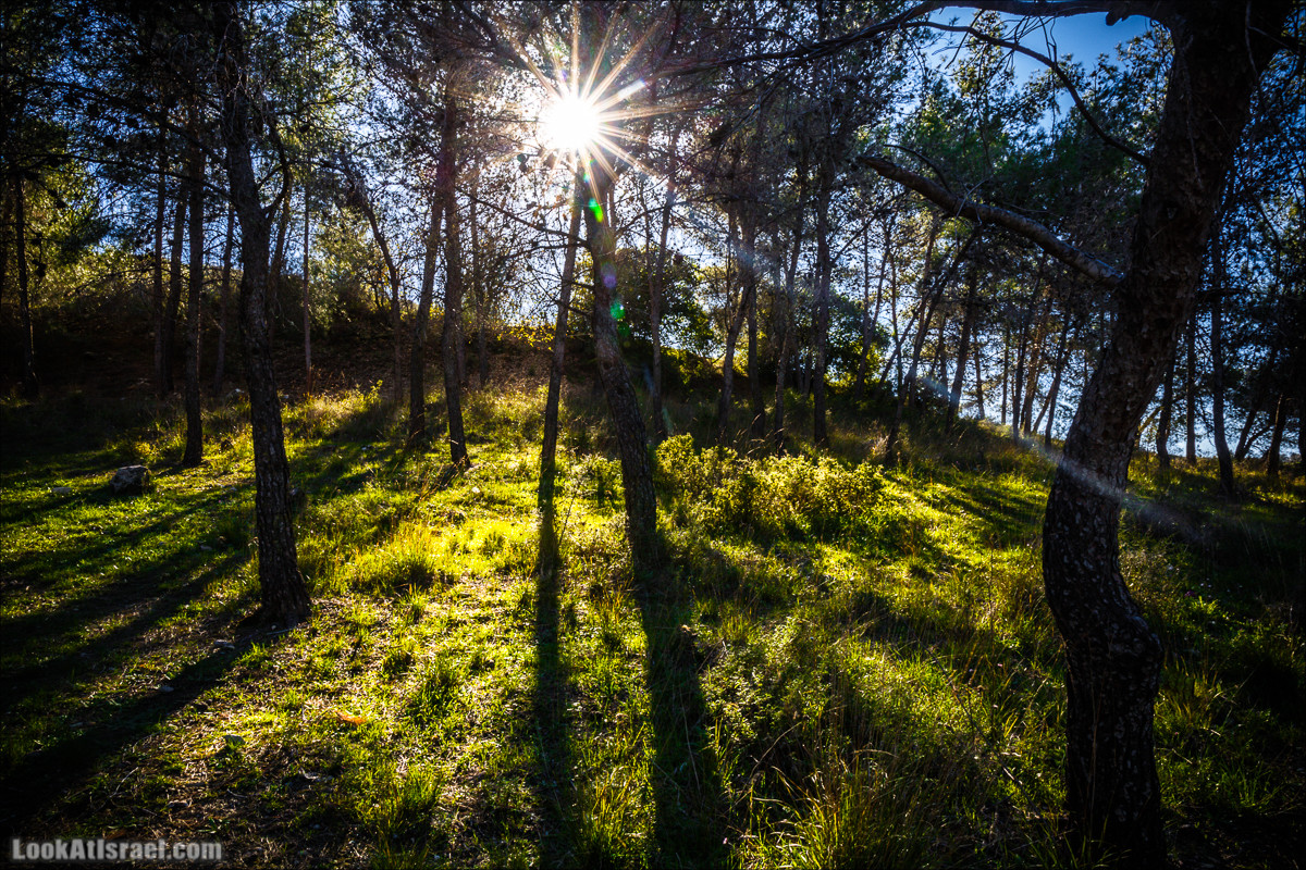 Гора Бетах и тропа Нормана | Betah mount and Norman's Trail | הר בטח ושביל נורמן | LookAtIsrael.com - Фото путешествия по Израилю