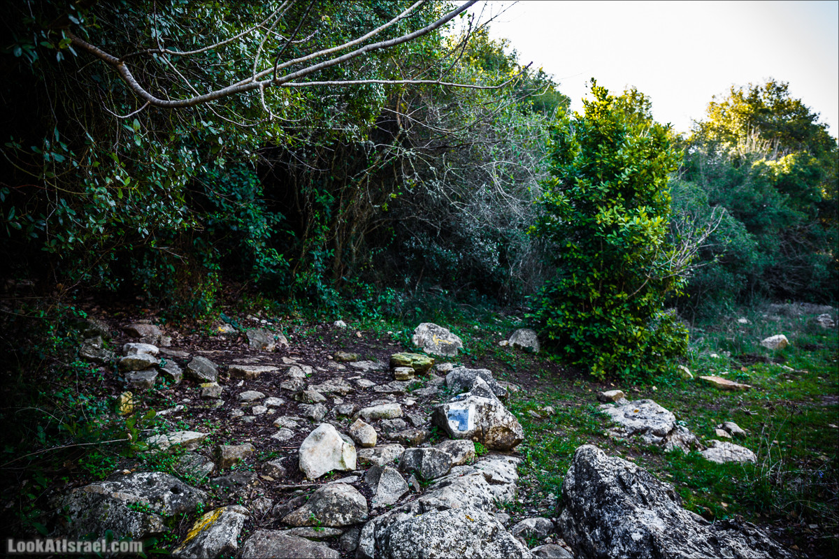 Гора Бетах и тропа Нормана | Betah mount and Norman's Trail | הר בטח ושביל נורמן | LookAtIsrael.com - Фото путешествия по Израилю
