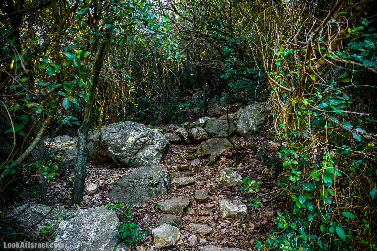 Гора Бетах и тропа Нормана | Betah mount and Norman's Trail | הר בטח ושביל נורמן | LookAtIsrael.com - Фото путешествия по Израилю